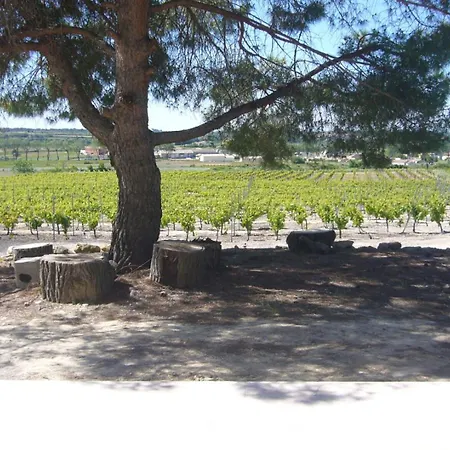 Le Petit Mas Du Vigne *