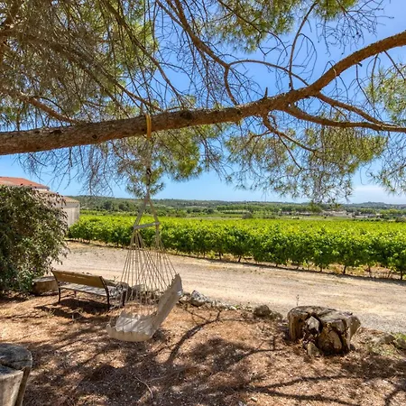 Le Petit Mas Du Vigne *