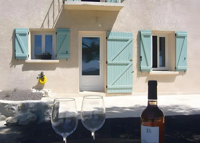 Le Petit Mas Du Vigne Vakantiehuis Saint-Pargoire