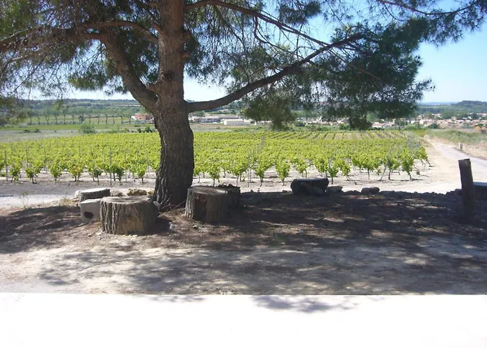 Le Petit Mas Du Vigne *